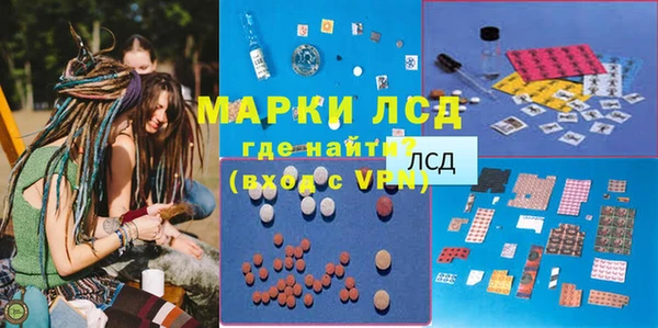 гашик Арсеньев